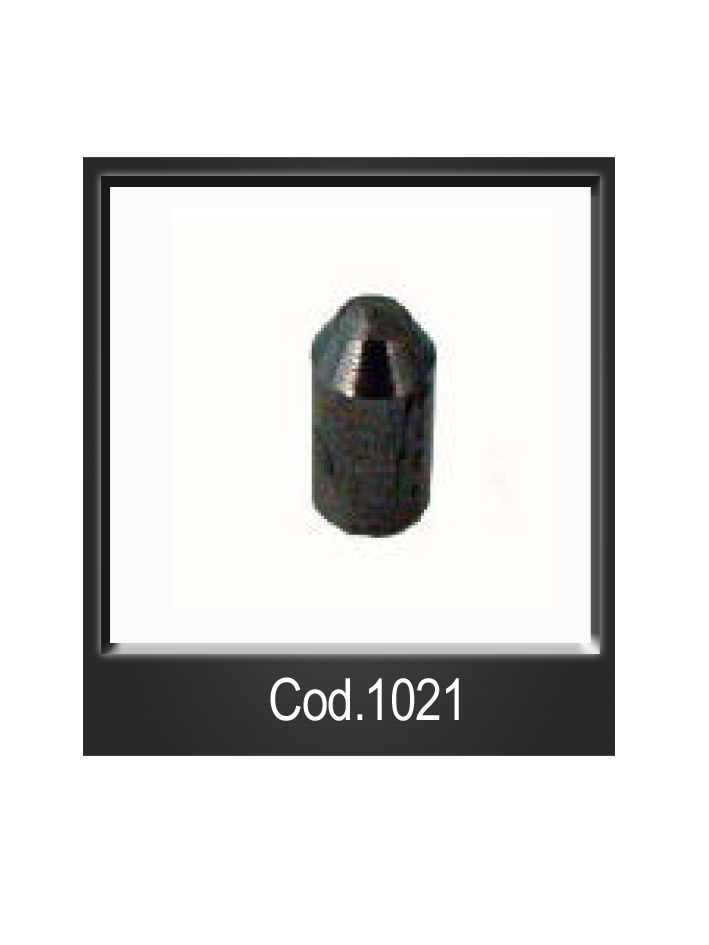 cod.1021.png